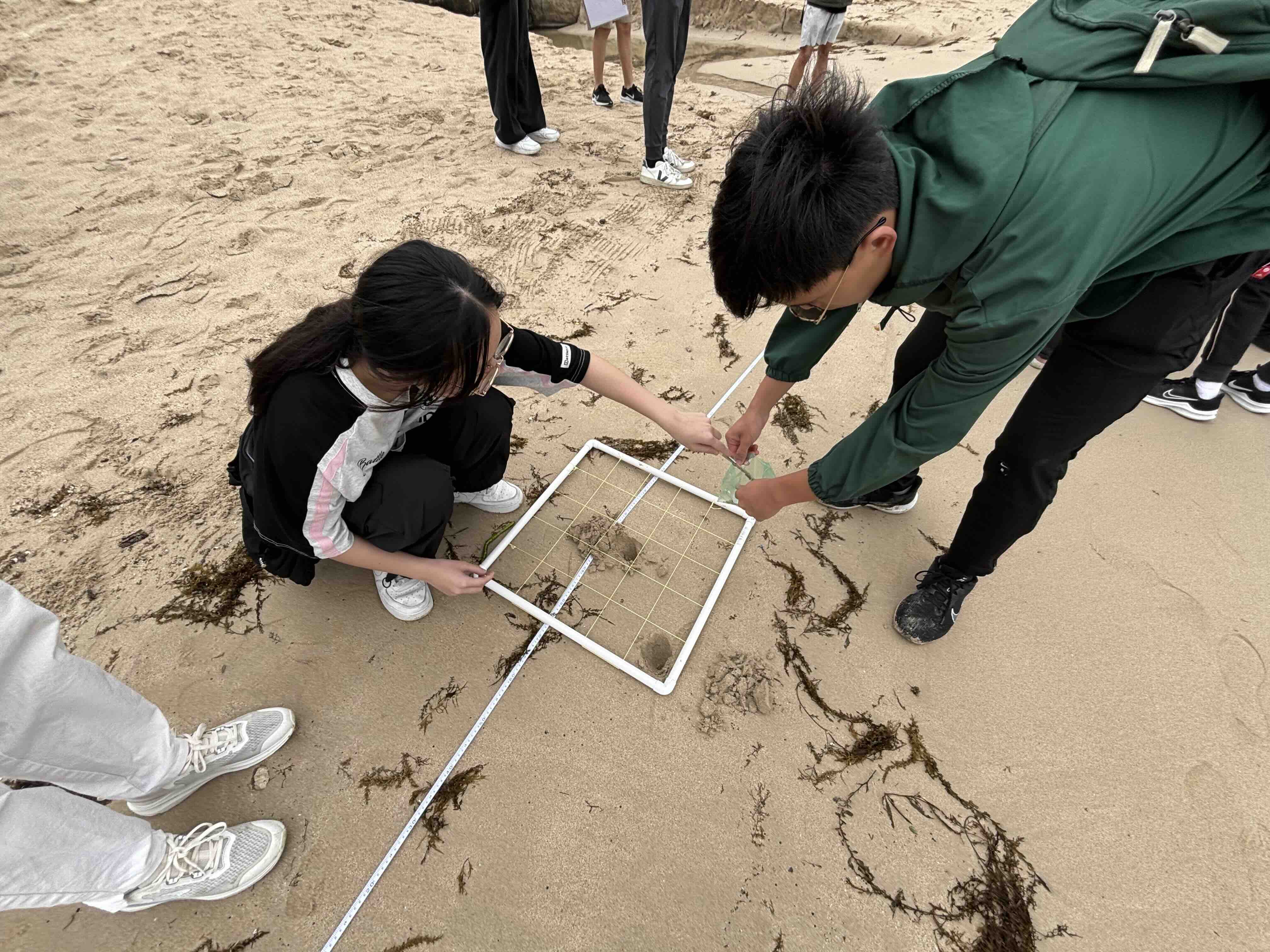 中四級地理科清水灣實地考察
