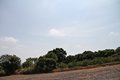 IMG_3346