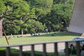 IMG_3391