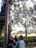 SAM_0958