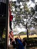SAM_0976