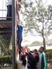 SAM_0956