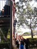 SAM_0981