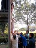 SAM_0973