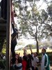 SAM_0962