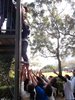 SAM_0954