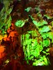 P1264280