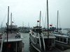 P1264113
