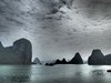 P1264222