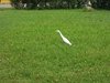 DSCN0383
