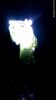IMG-20141114-WA0001