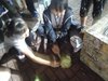 DSCN0231