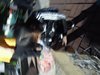 DSCN0225