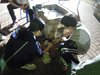 DSCN0230