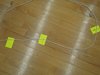 DSCN0083
