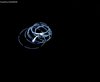 IMG-20141212-WA0009