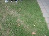 DSCN0252