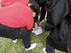DSCN0254