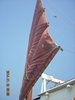 DSCN0546