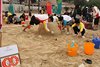 IMG_9146