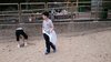 IMG-20150402-WA0013