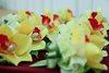img-0021