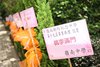 img-0032