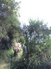 IMG-20151001-WA0059