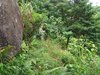 IMG-20151001-WA0045