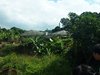 P1010057