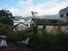 P1010007