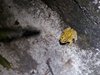IMG-20160213-WA0016