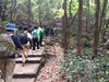 IMG-20160331-WA0013
