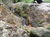 IMG-20160331-WA0047