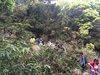 IMG-20160331-WA0010