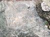 IMG-20160331-WA0001