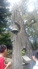 IMG-20160424-WA0020