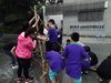 DSC01452