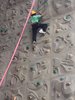 IMG-20160708-WA0023