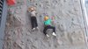IMG-20160707-WA0022