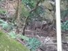 IMG-20160716-WA0014