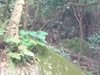 IMG-20160716-WA0020
