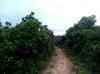 IMG-20160716-WA0040