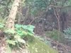 IMG-20160716-WA0016