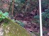 IMG-20160716-WA0034