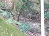 IMG-20160716-WA0015