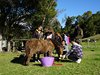 DSC02117