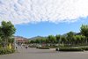 IMG_3948