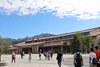 IMG_3955