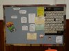 DSC02229